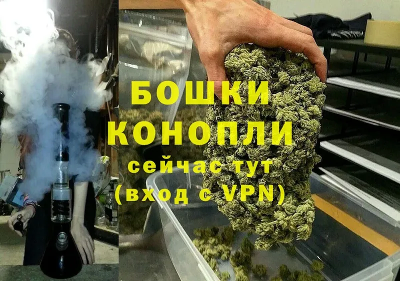 Конопля Bruce Banner  Дюртюли 